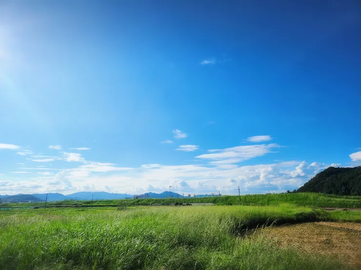 到JR馬堀站的沿途風景