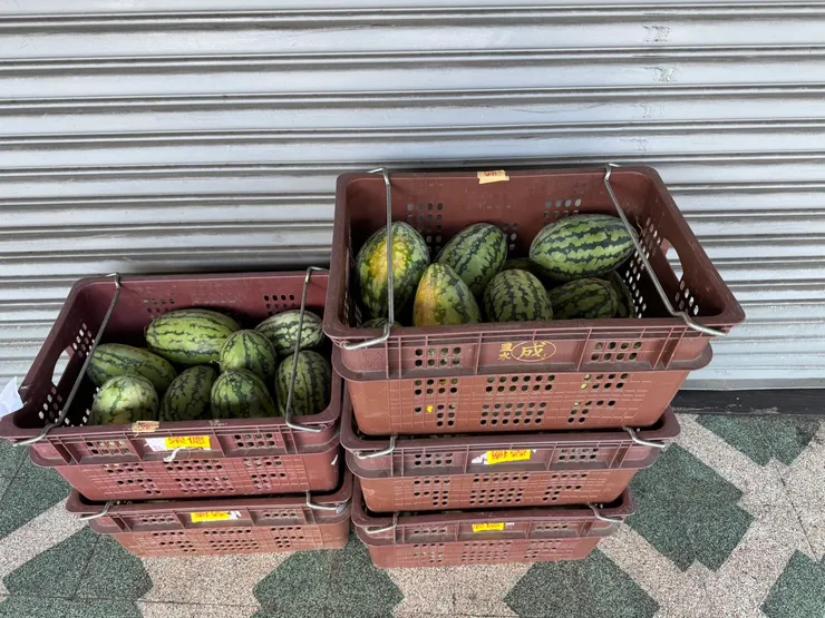 2025/09/11 同事上班路上拍的小西瓜