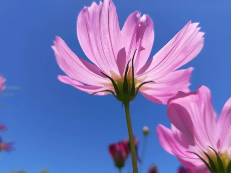圖文｜默默書店