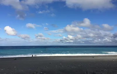 妞妞NiuNiu的沙龍