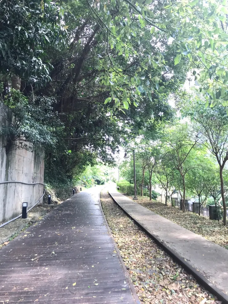 飯後繼續在木棧道上前進,步行前往下個地點~虎頭山新創園區的NxCoffee