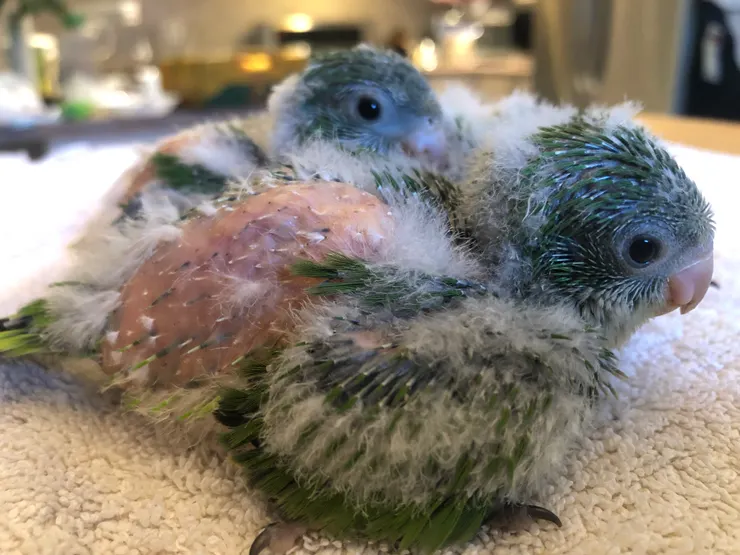 那是神說要有的"光"嗎？泛神論的我紅著眼圈想著。