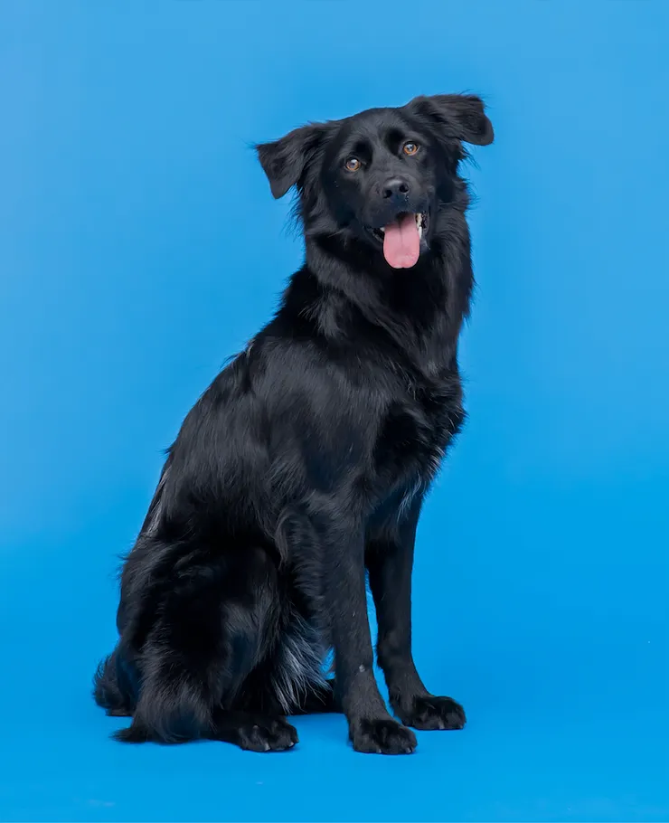 我是Pinot, 我很上相吧！