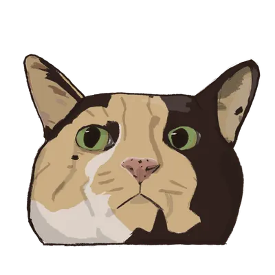 可憐的社畜的沙龍