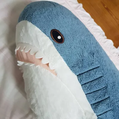 LIBLOM Recalifa的沙龍