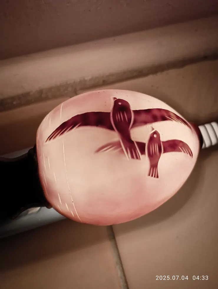 貝燈分影半床宿，自拍攝