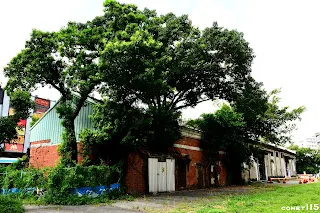 位於園區舊軌草原旁的是已被指定為古蹟的8號與10號倉庫