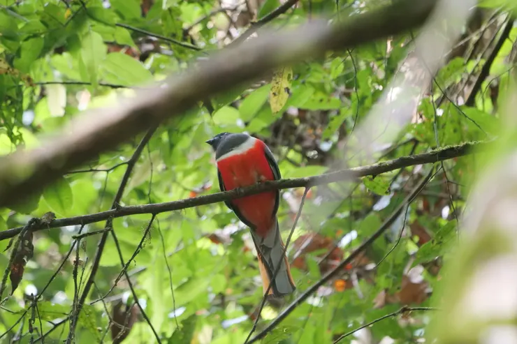 角度太高，只是拍到肚子
