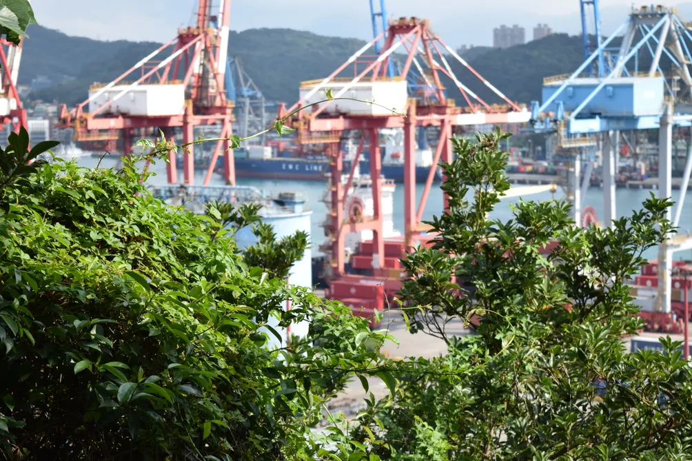 雞籠霧雨的沙龍