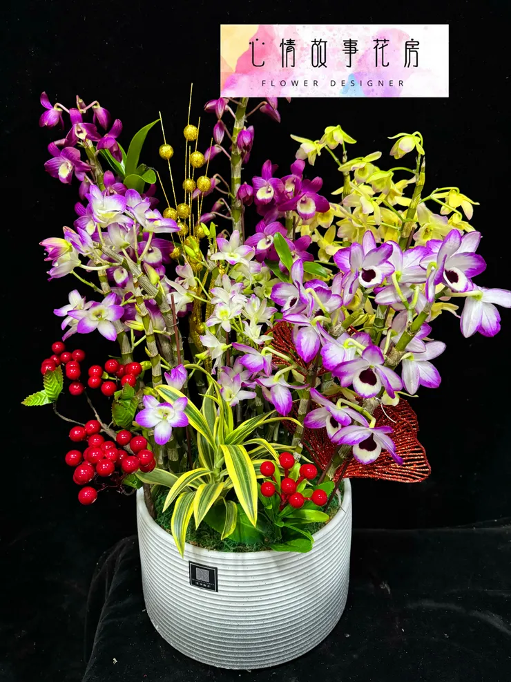 春天最美的賞花選擇——春石斛組合盆栽，為您的生活增添優雅氣息！ 台南心情故事花房