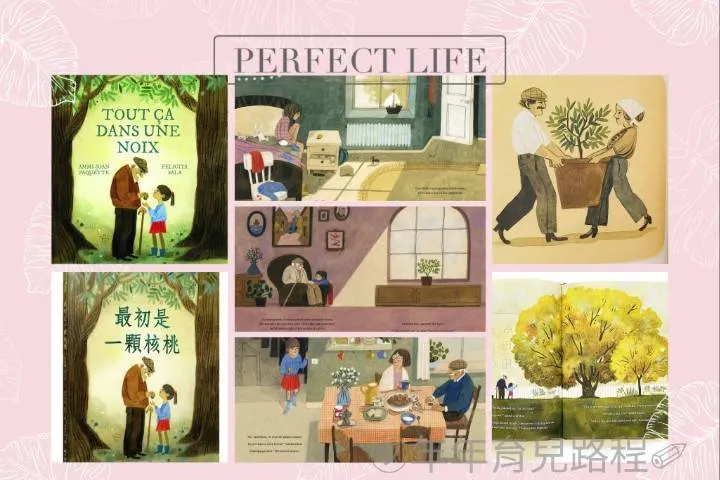 費希塔・莎拉(Felicita Sala)-最初是一顆核桃(生命教育繪本) 