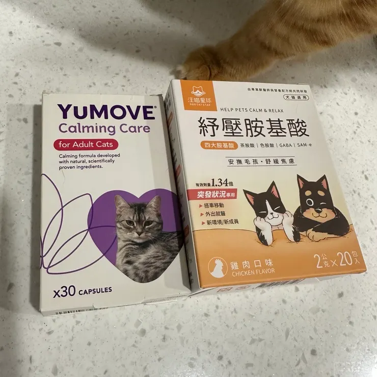 〈非業配，僅提供作者有使用過的兩款產品供參考〉