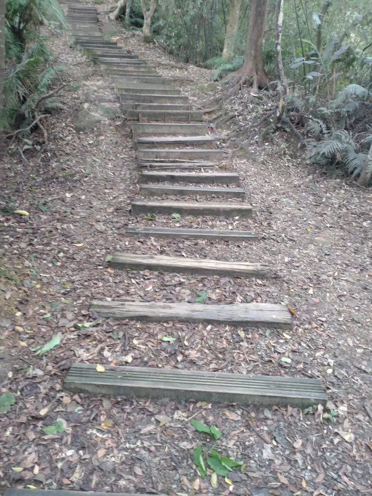 和美山步道的木棧道