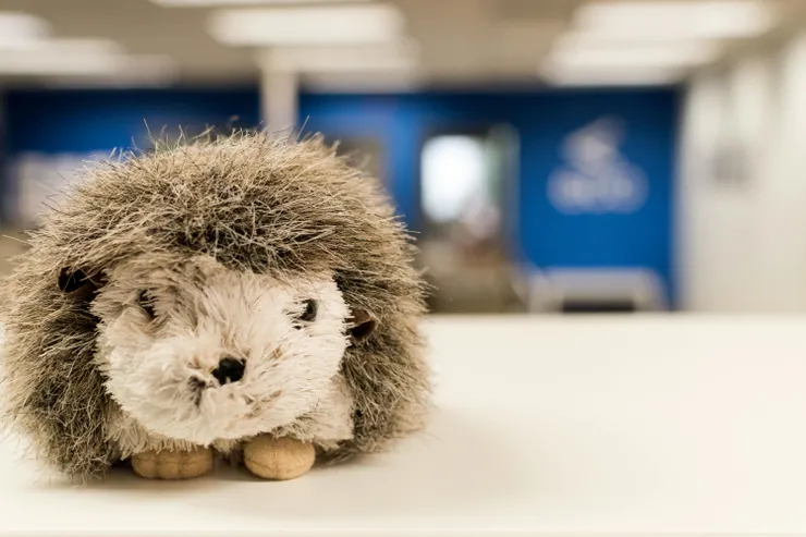 圖片來源：pexels