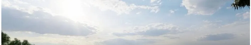 阿玄的設計跑跳碰的沙龍