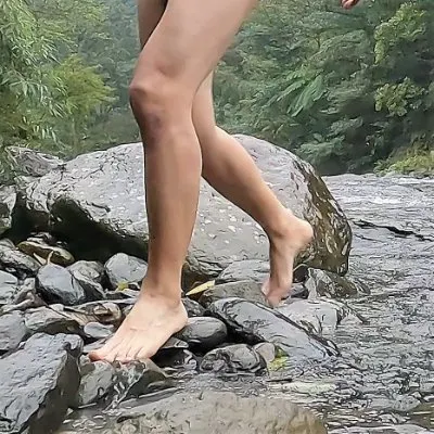 感官與心靈的探索的沙龍