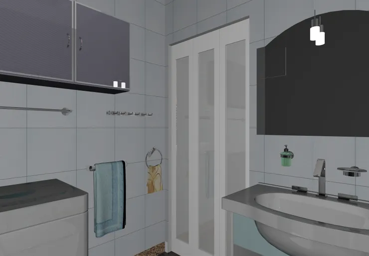 這幅是從沐浴間望向門口。門是趟門，因為這洗手間的空間小，所以用趟門比較省位置。