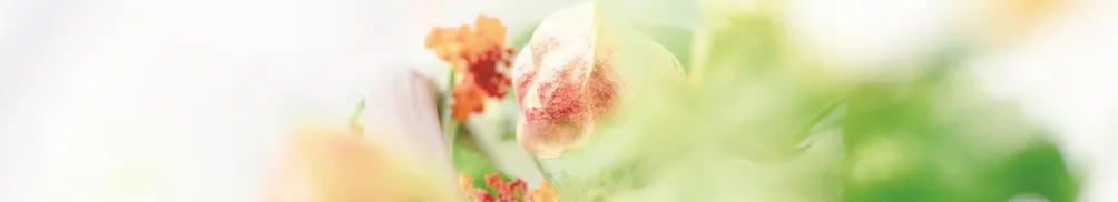 云野花草的沙龍