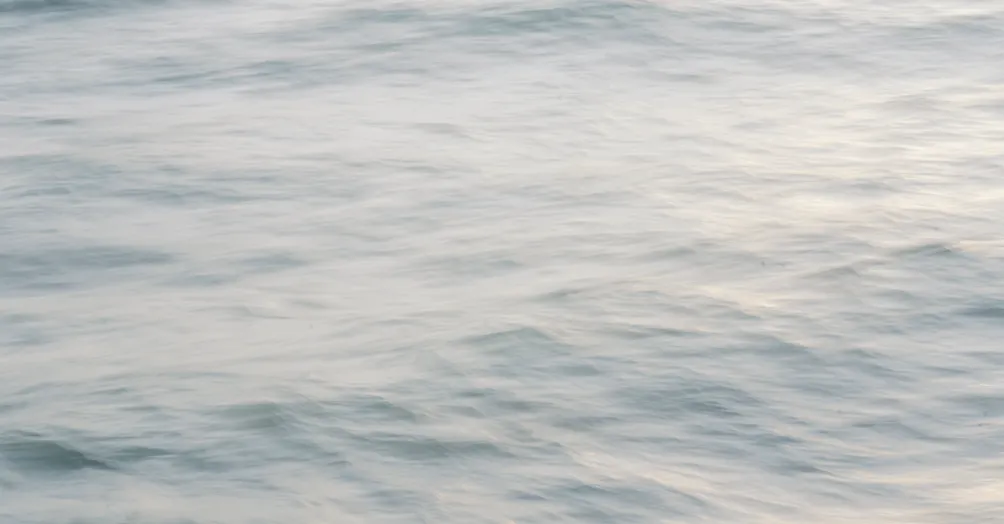 生命探索.心靈成長｜湘