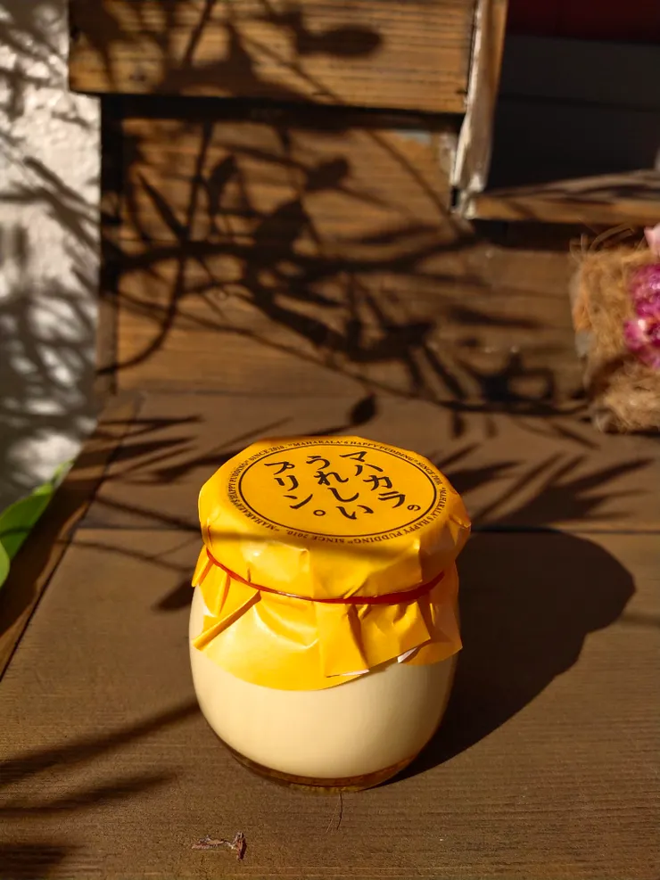 就是這個卡士達布丁--網路上很多人推薦