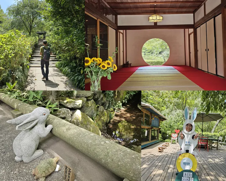 少了繡球花的明月院