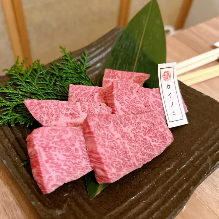 カイノミ（腰脊心）