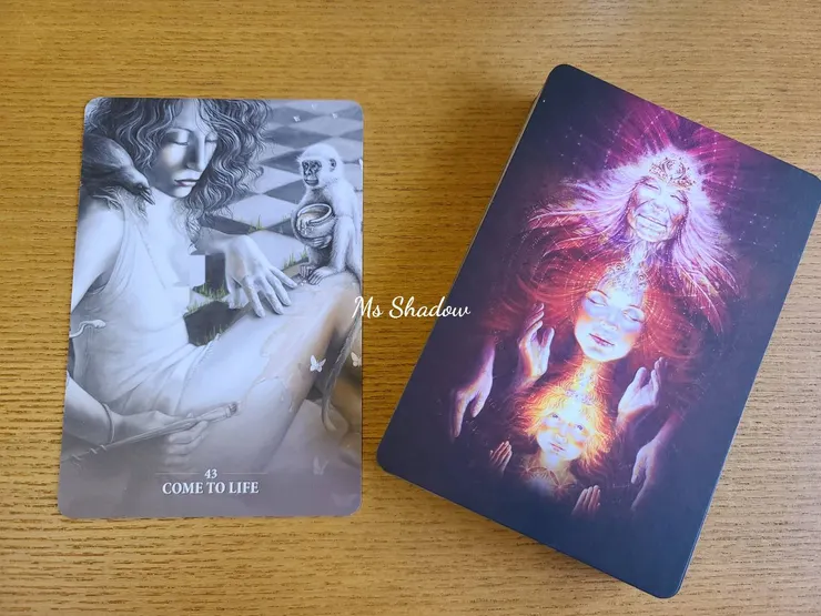 SACRED REBELS ORACLE no.43 COME TO LIFE