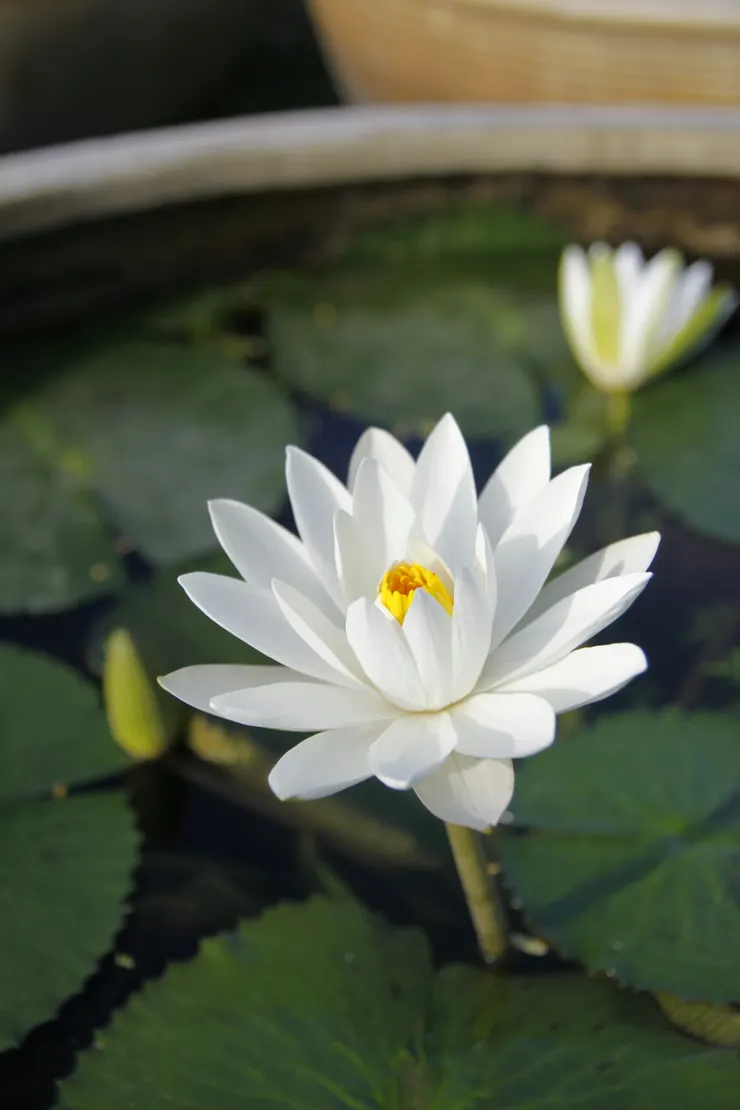Photo by binh dang nam on Unsplash