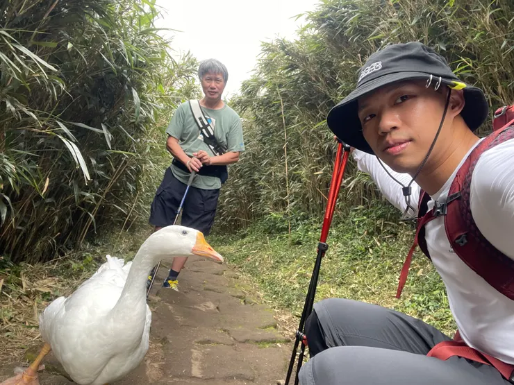 連鵝都比我強