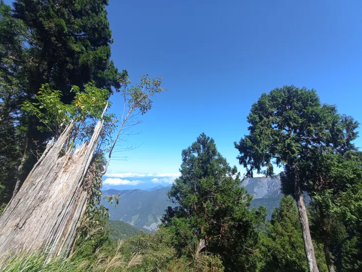沿觀雲棧道，晴空萬里。特定天候條件下，可觀見雲海翻騰