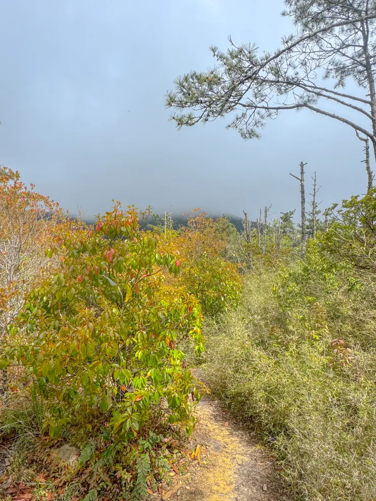 最後看一下馬武佐野郡山上的烏雲，期待下次秀魯葉了！