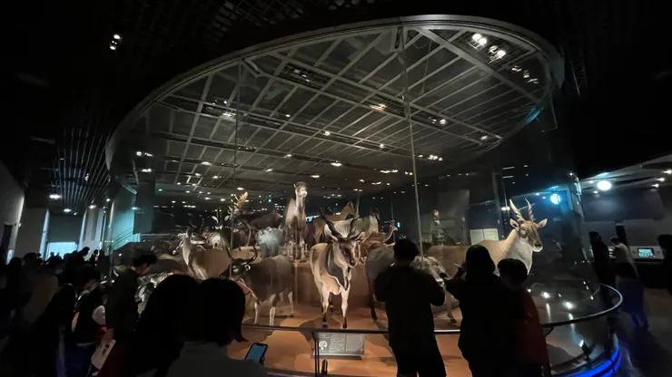 探討各式生物的生存智慧。