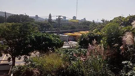 [台北旅遊]凱達格蘭族北投社到北投區三層崎公園花海、大冠鷲著