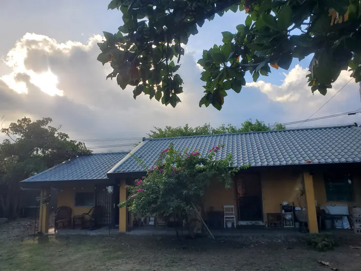 Day1:從台南→長濱/ (火車)到台東火車站→(客運)8101到長濱城仔埔:麵包宿