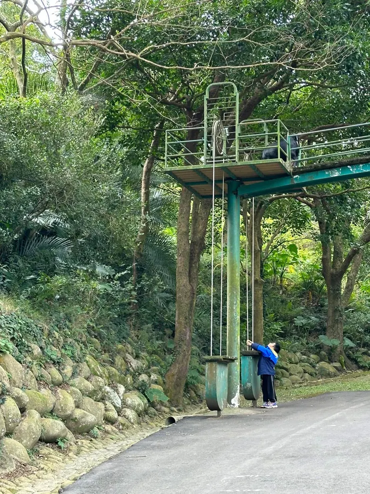 我兒子在運送食物給上方☝️的羊兒吃呦