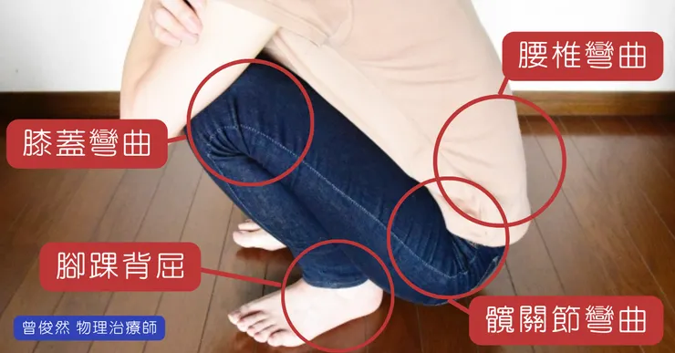 無法蹲下受到哪些關節的影響？