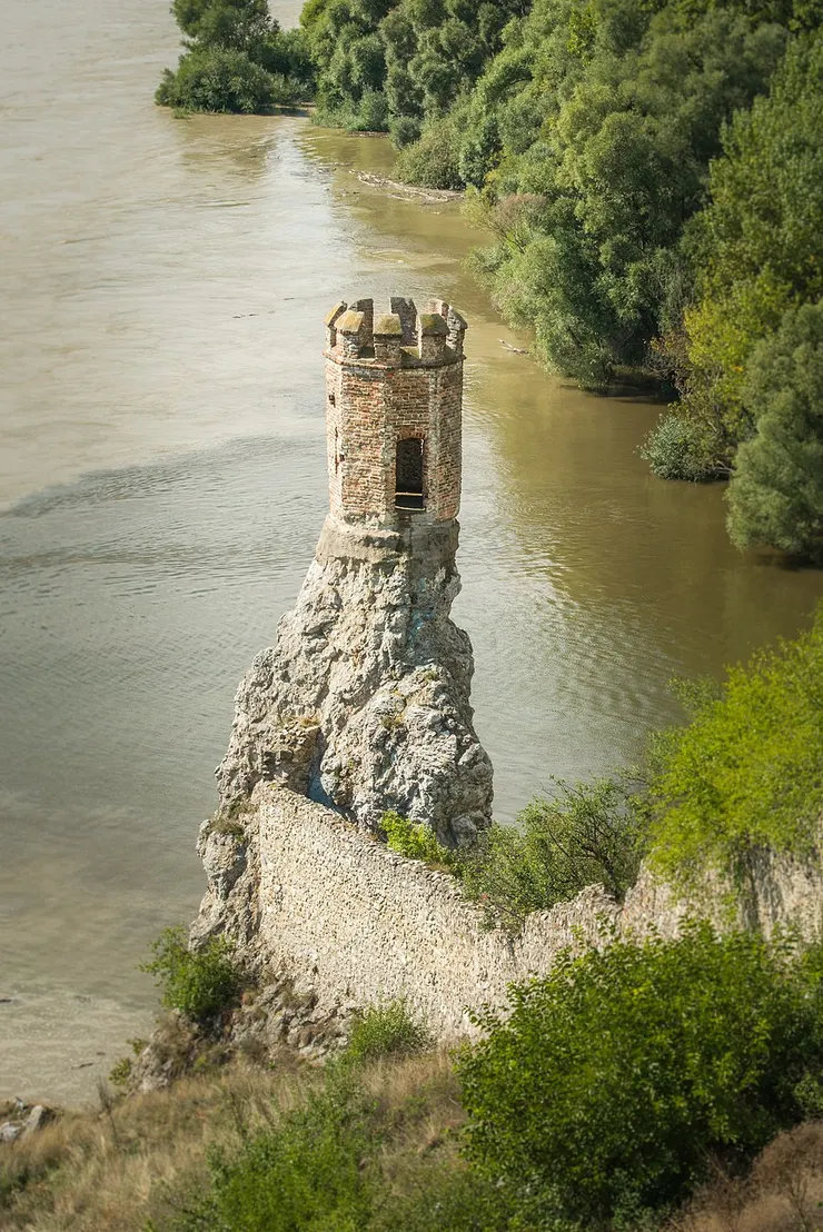 此圖取自維基百科