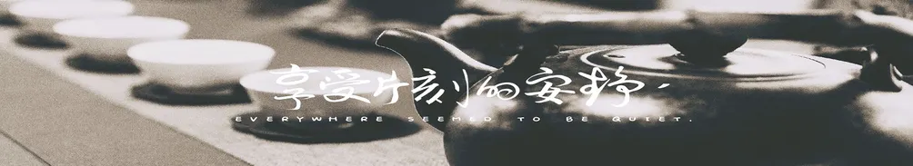 豬鬃的記憶之都的沙龍