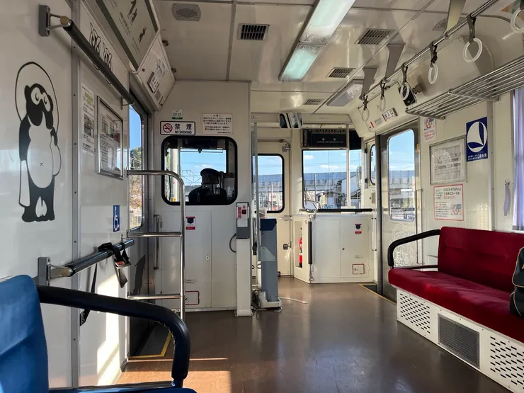 車上也都是狸貓