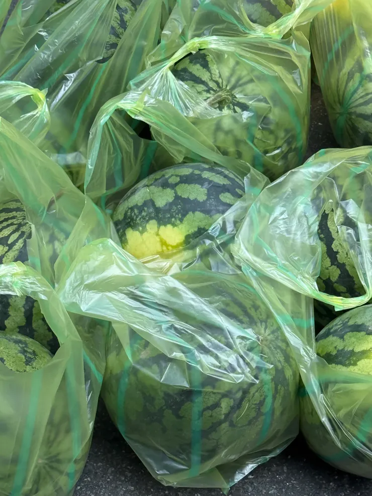 2026/04/19 看到很多西瓜