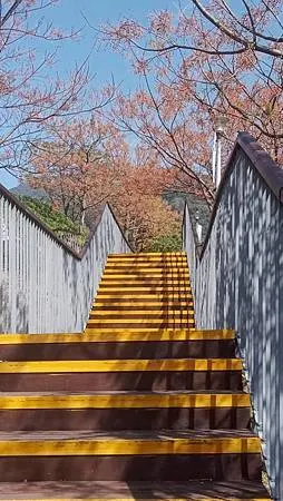 [台北旅遊]凱達格蘭族北投社到北投區三層崎公園花海、大冠鷲著