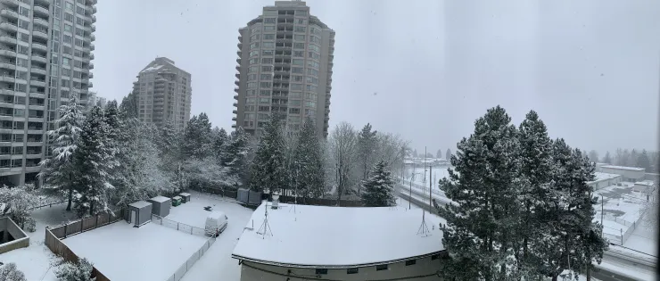 白雪佈滿天地…