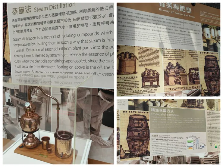 玫瑰森林的大樓外，有設置香氛領域的知識教育牆