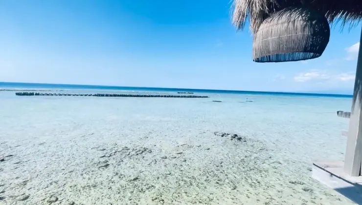 坐在海邊看著蔚藍的海水放空，好鬆弛：點擊有海浪影片喔！