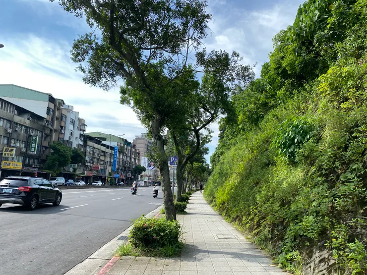 羅斯福路拓寬前，蟾蜍山下有瑠公圳與小路並行。由於道路狹窄，因此當年萬新鐵路才選擇走汀州路