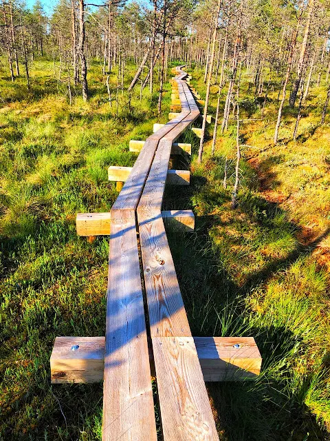 很喜歡這張照片～長長的木板路上， 明亮的光線色調，以及有種可以無限延伸的感覺。