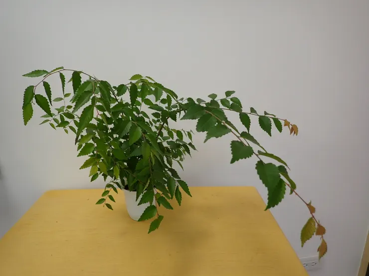 中山社大114.05.08