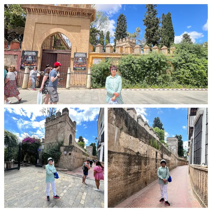 塞維利亞阿爾卡薩宮外圍