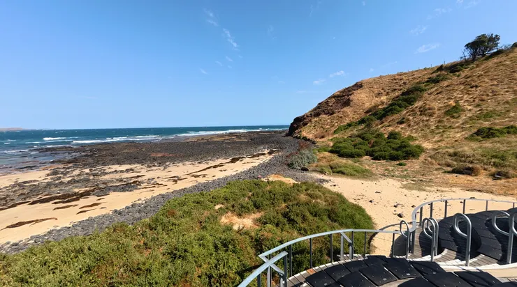 景觀台直接就是企鵝歸巢路線！可以清楚看到藍企鵝搖搖擺擺回家