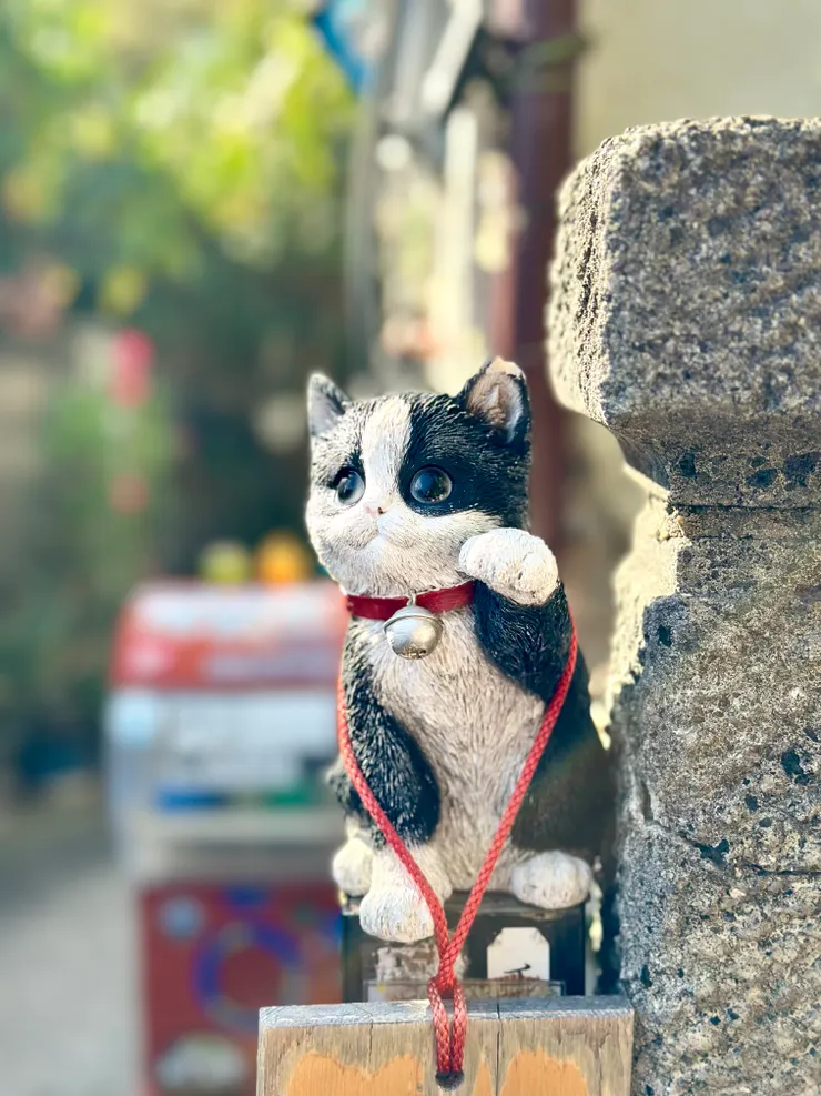 不是真貓貓也很可愛